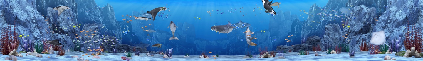 미디어 아트 아쿠아리움